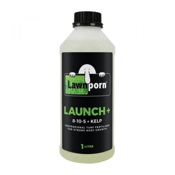 Lawnporn Launch+ Fertiliser 1L