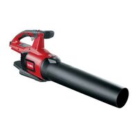 Toro Flex Force 60V Blower